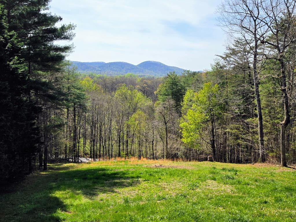 978 Ashley Lane, Young Harris GA 30582 - Photo