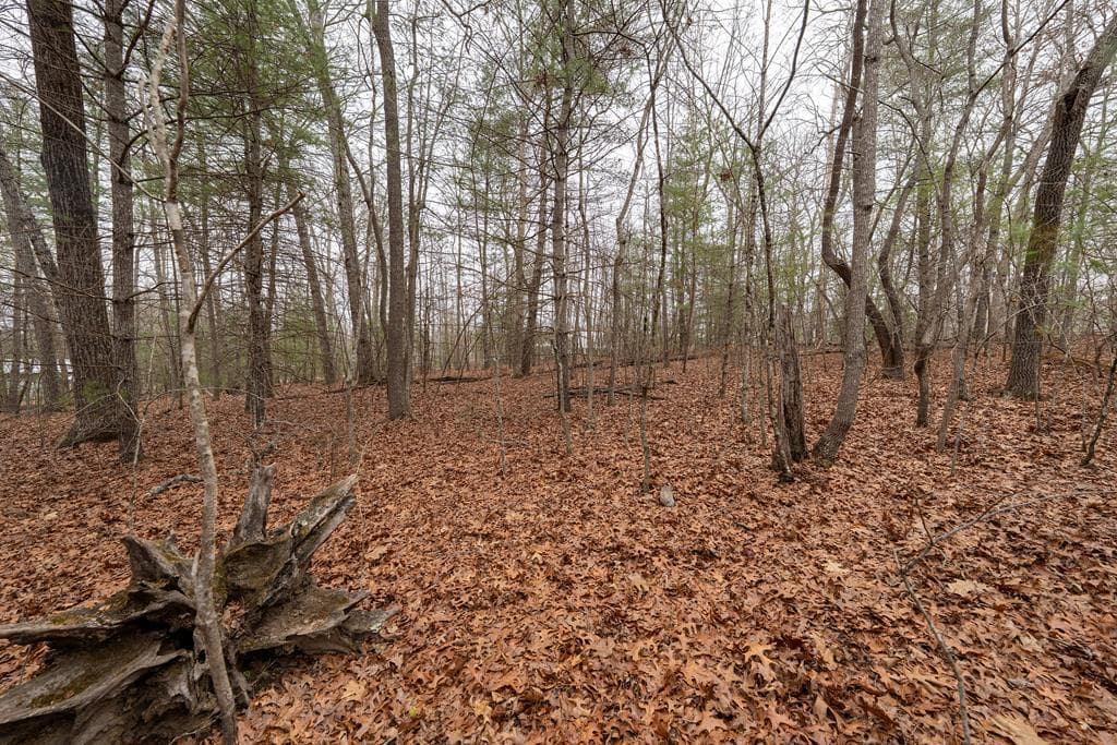 NA Owenby Road, Blairsville GA 30512 - Photo