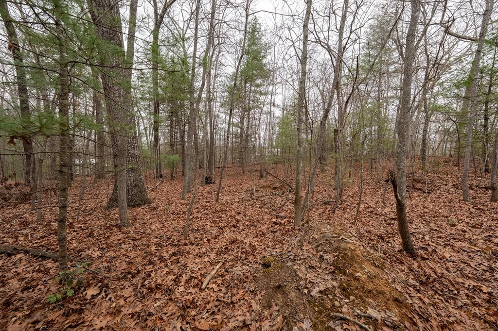 NA Owenby Road, Blairsville GA 30512 - Photo