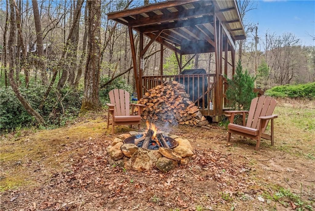 1790 Stanley Creek, Cherry Log GA 30522 - Photo