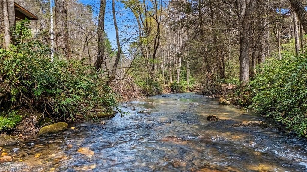 1790 Stanley Creek, Cherry Log GA 30522 - Photo