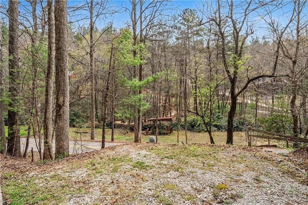 1790 Stanley Creek, Cherry Log GA 30522 - Photo