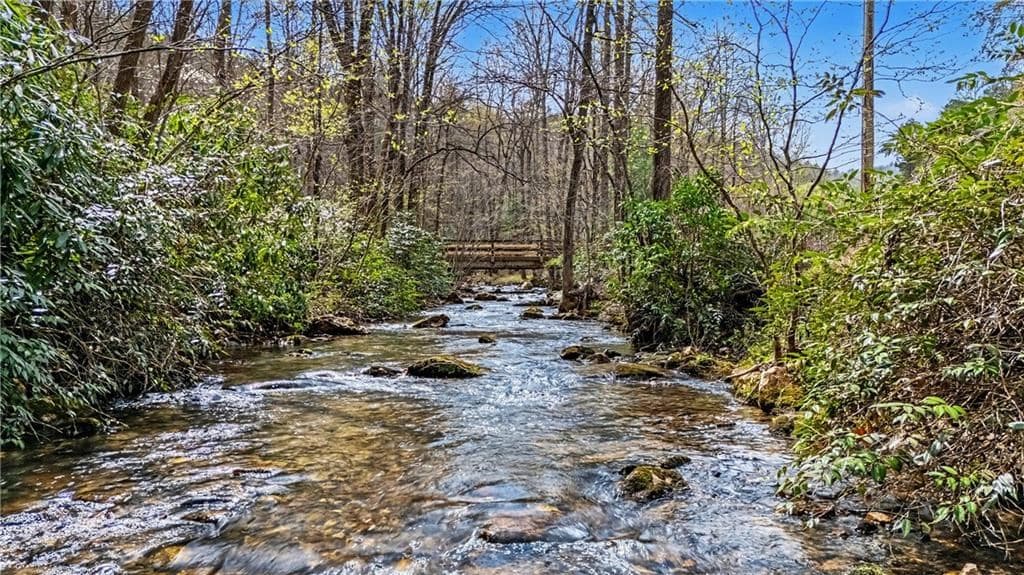 1790 Stanley Creek, Cherry Log GA 30522 - Photo