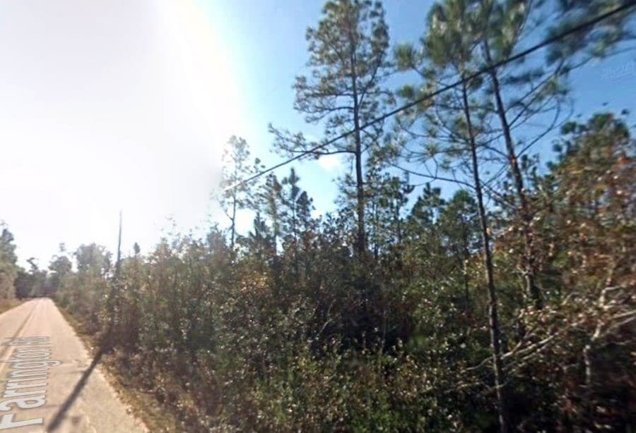 1825 Vincent Way, Talking Rock GA 30175 - Photo