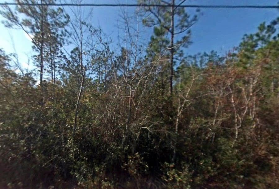 1825 Vincent Way, Talking Rock GA 30175 - Photo