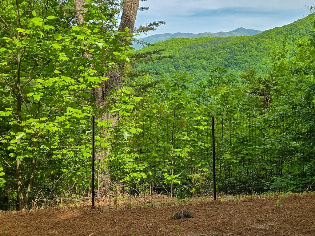 1900 Long Ridge, Hiawassee GA 30546 - Photo