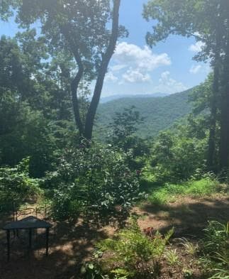 1900 Long Ridge, Hiawassee GA 30546 - Photo