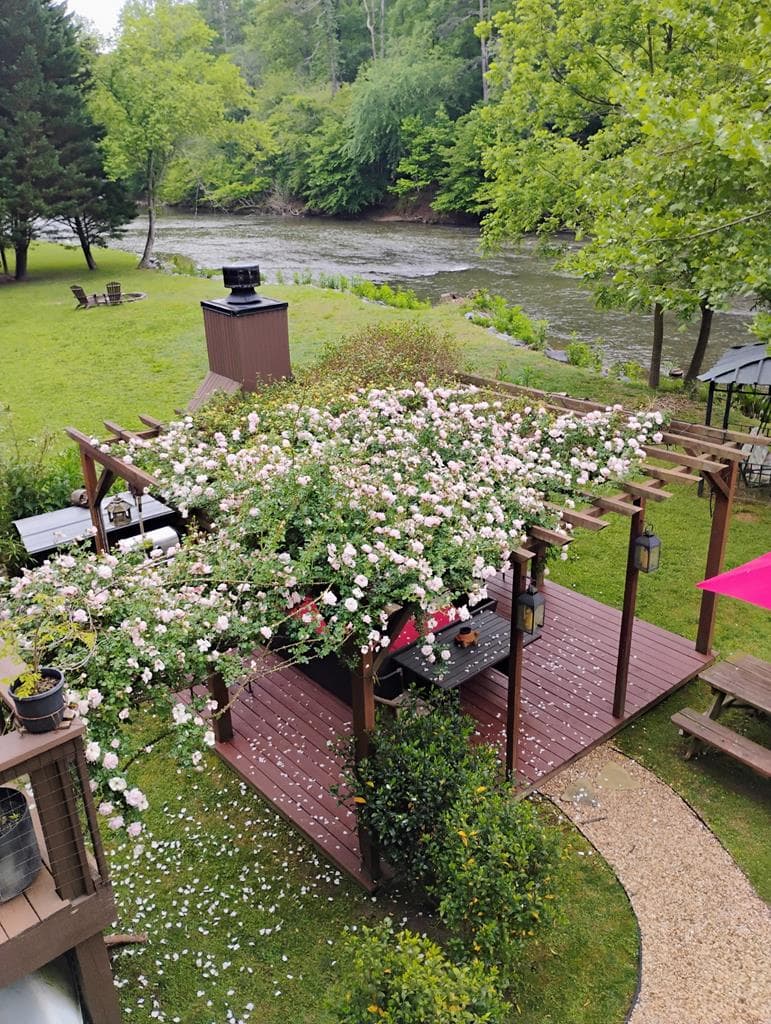 20 Edgewater Drive, Ellijay GA 30540 - Photo