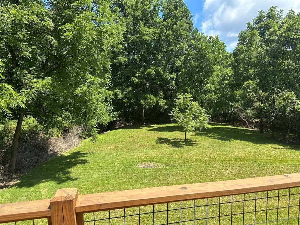 157 Old Loving Road, Mineral Bluff GA 30559 - Photo