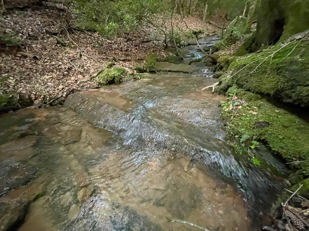 64 Kristin Lane, Ellijay GA 30540 - Photo