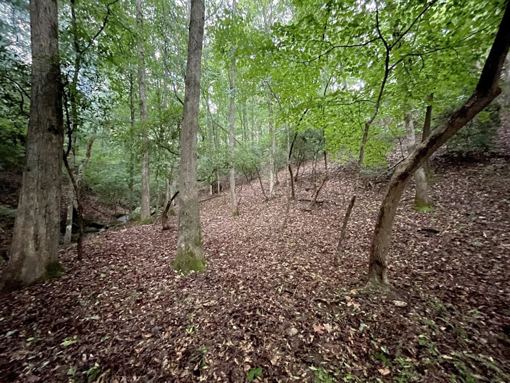 64 Kristin Lane, Ellijay GA 30540 - Photo