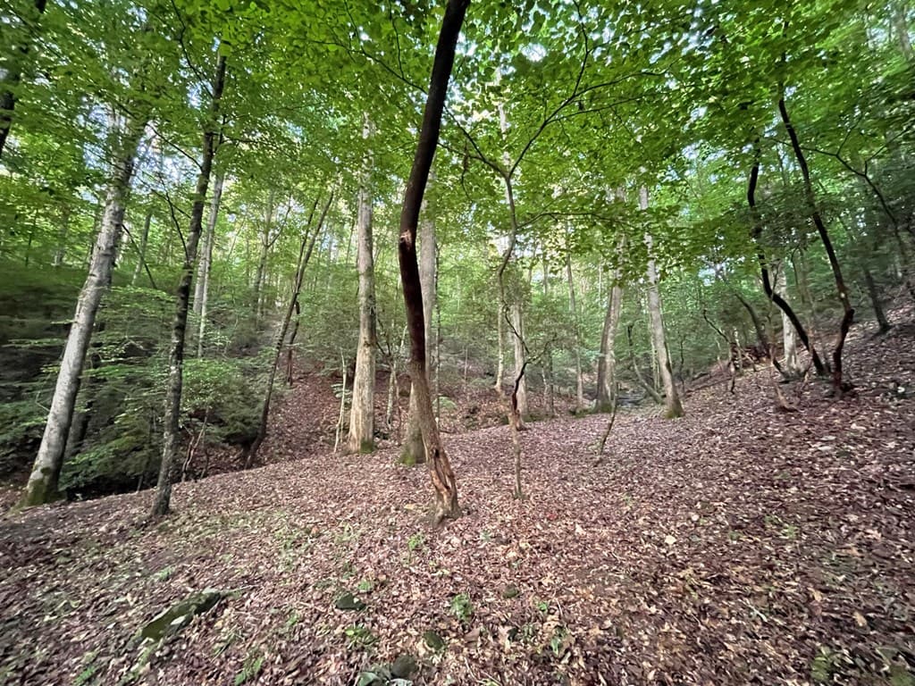 64 Kristin Lane, Ellijay GA 30540 - Photo
