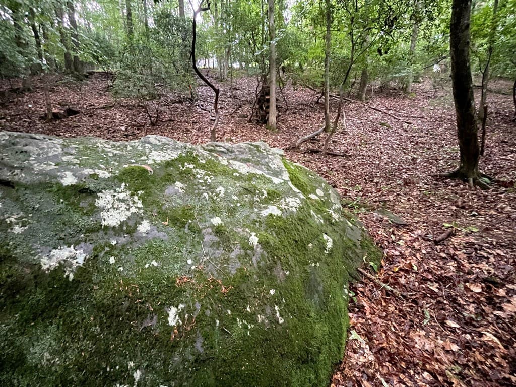64 Kristin Lane, Ellijay GA 30540 - Photo