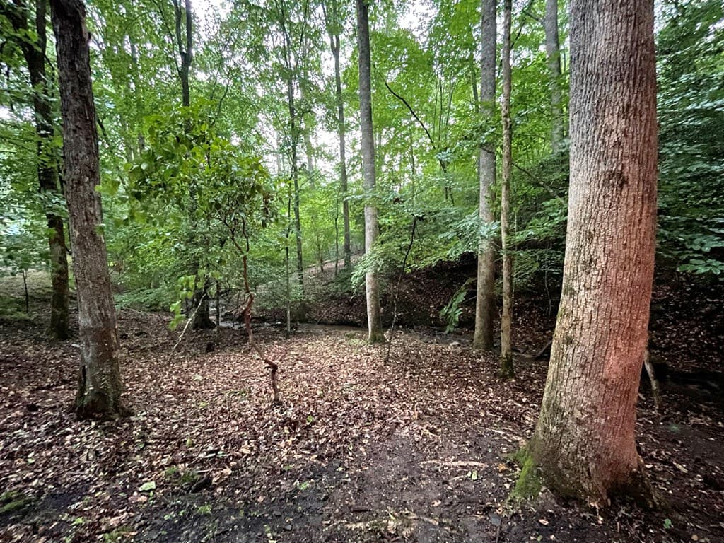 64 Kristin Lane, Ellijay GA 30540 - Photo