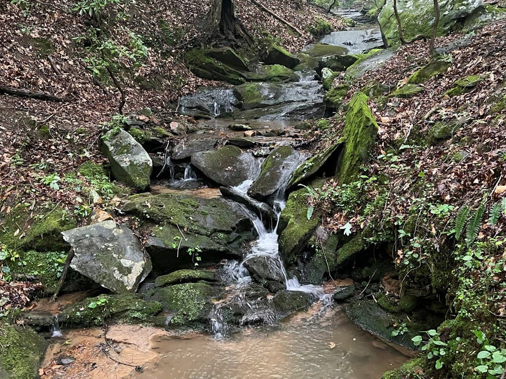 64 Kristin Lane, Ellijay GA 30540 - Photo