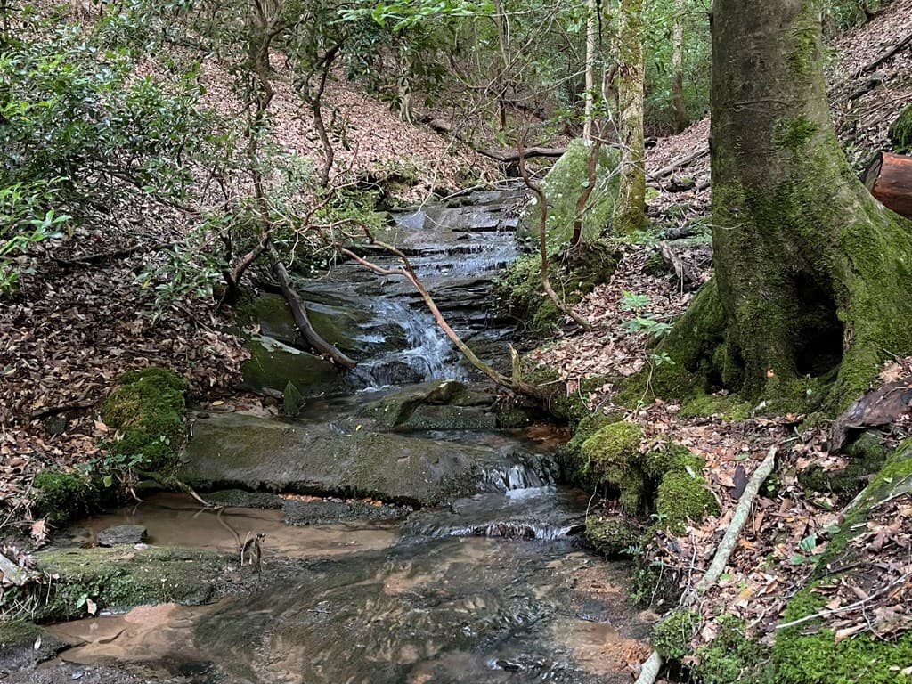64 Kristin Lane, Ellijay GA 30540 - Photo