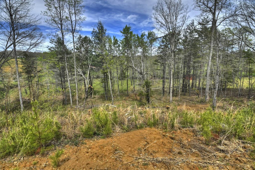 139 Cedar Lane, Blairsville GA 30512 - Photo