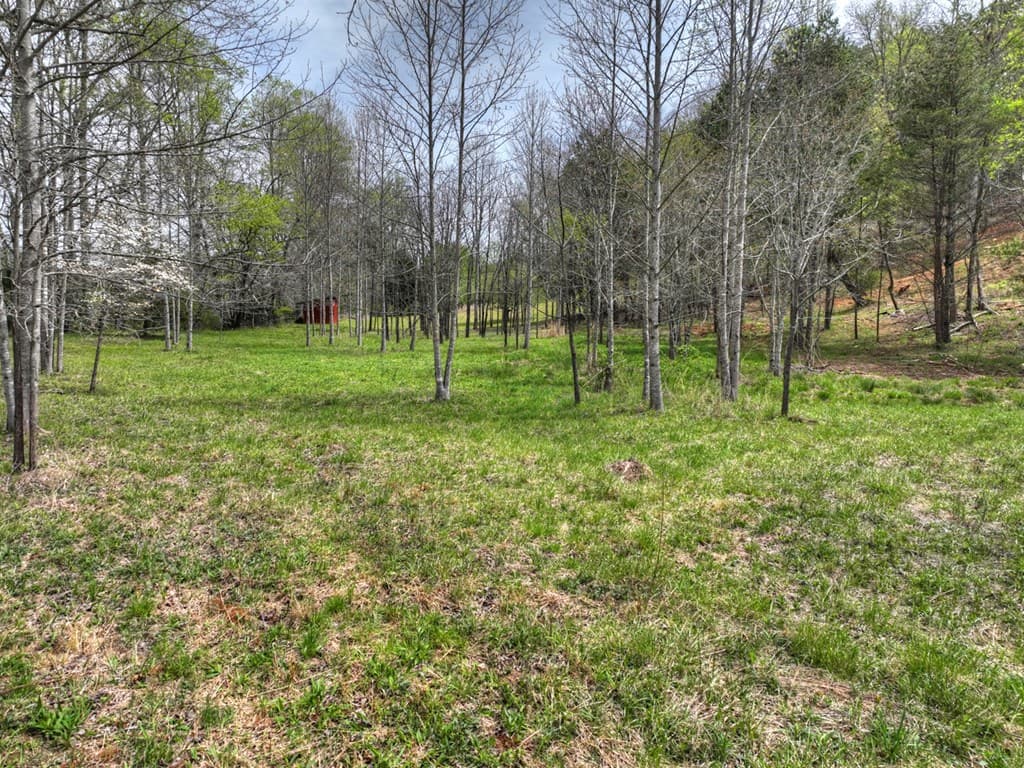 139 Cedar Lane, Blairsville GA 30512 - Photo
