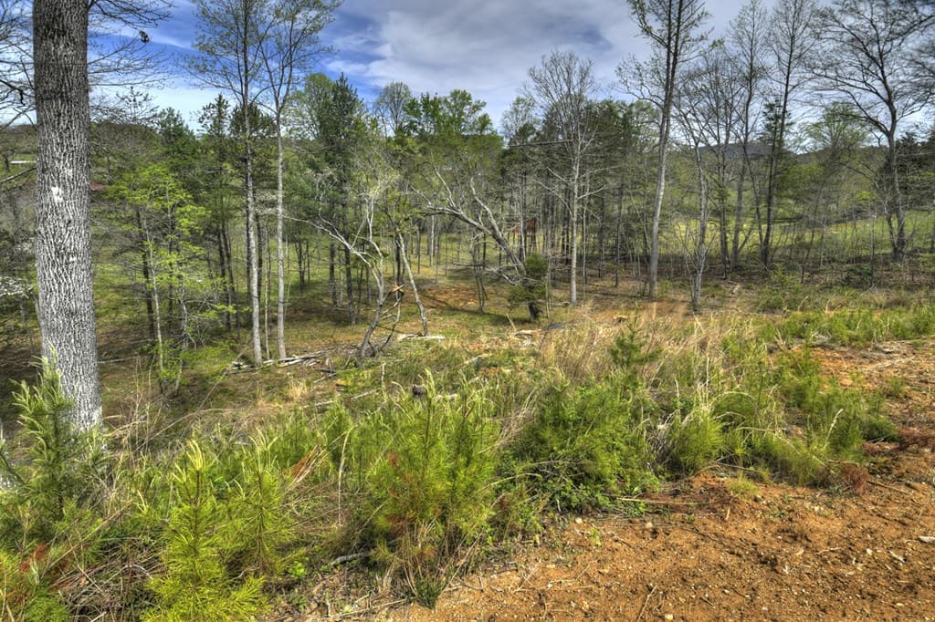 139 Cedar Lane, Blairsville GA 30512 - Photo
