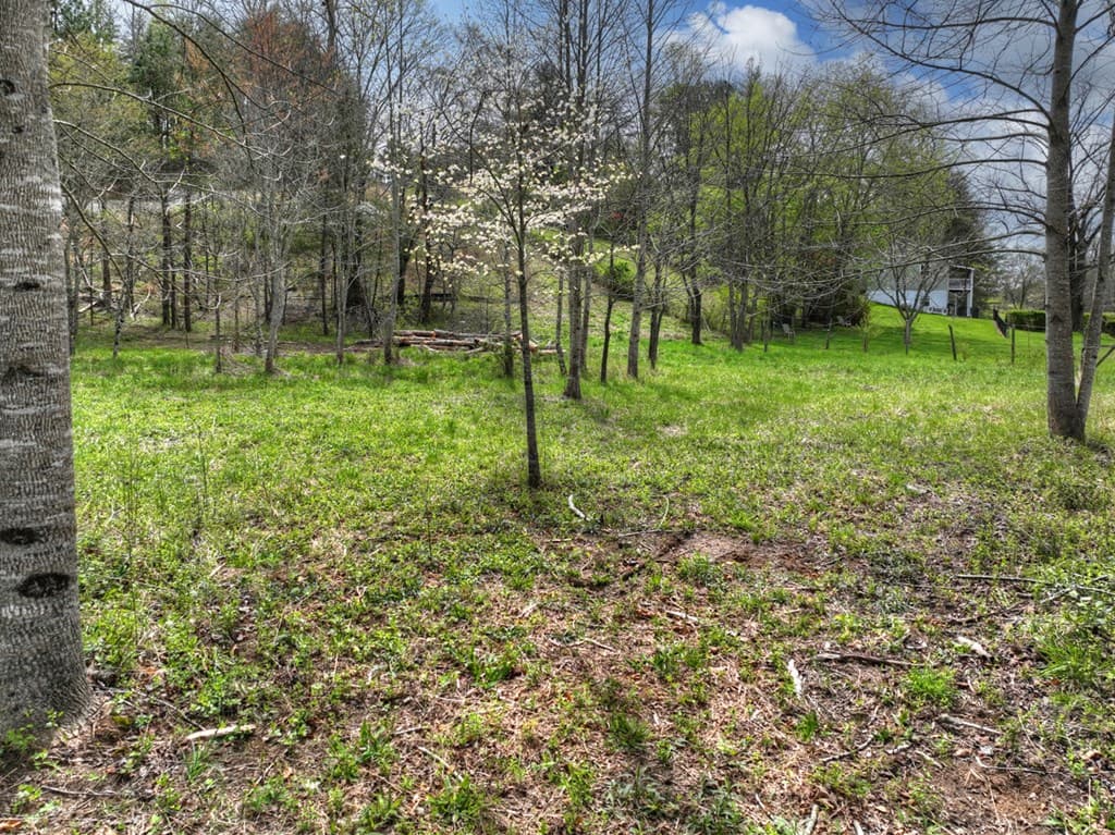139 Cedar Lane, Blairsville GA 30512 - Photo