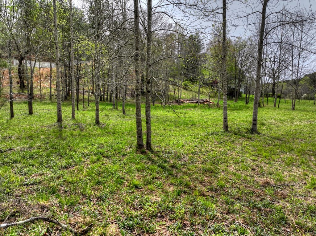 139 Cedar Lane, Blairsville GA 30512 - Photo
