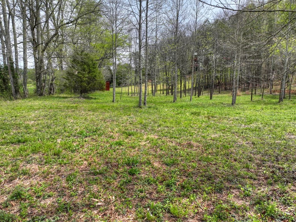 139 Cedar Lane, Blairsville GA 30512 - Photo