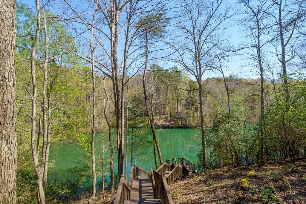 942 Granny Branch Drive, Cherry Log GA 30522 - Photo