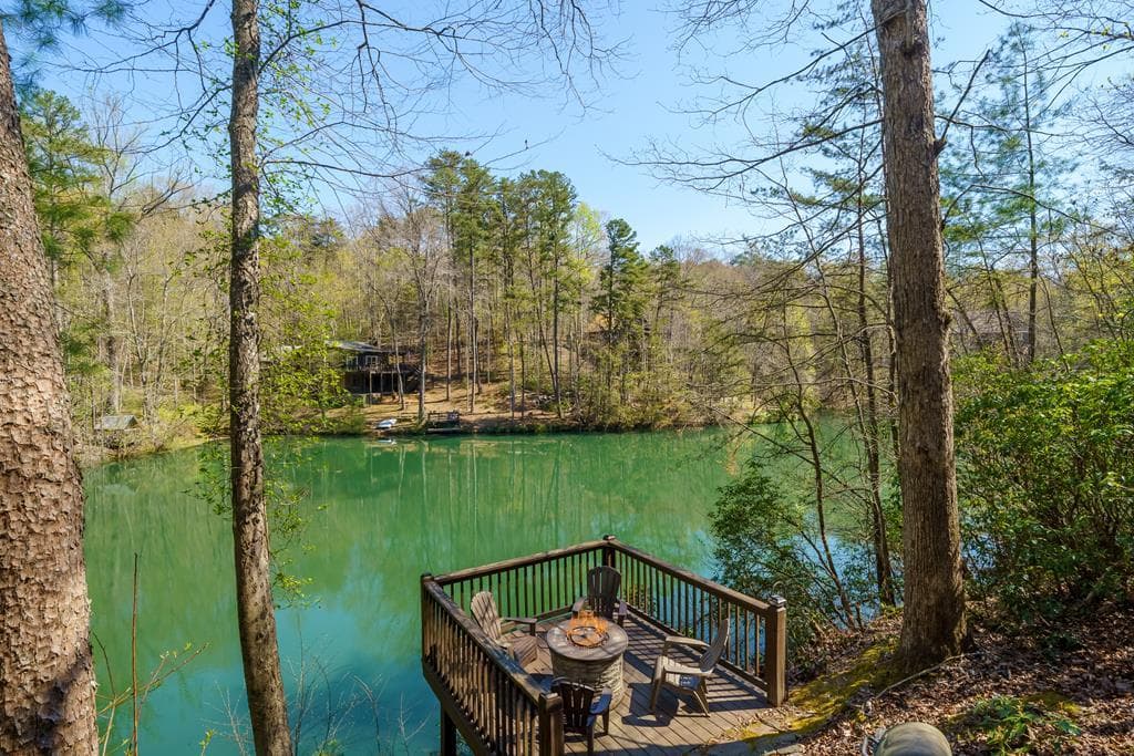 942 Granny Branch Drive, Cherry Log GA 30522 - Photo