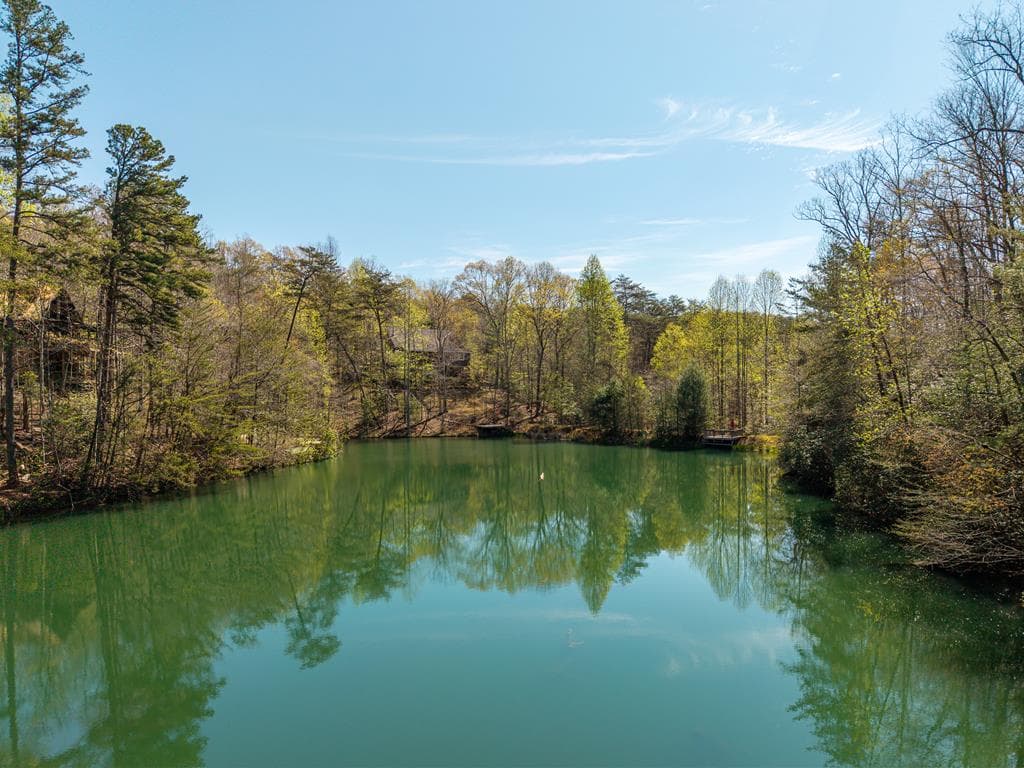942 Granny Branch Drive, Cherry Log GA 30522 - Photo