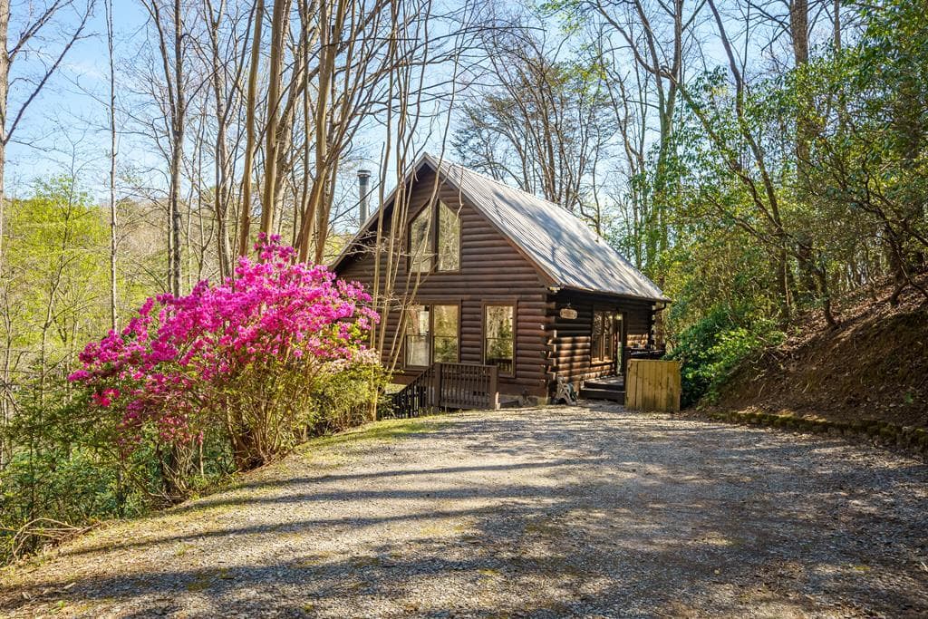 942 Granny Branch Drive, Cherry Log GA 30522 - Primary photo