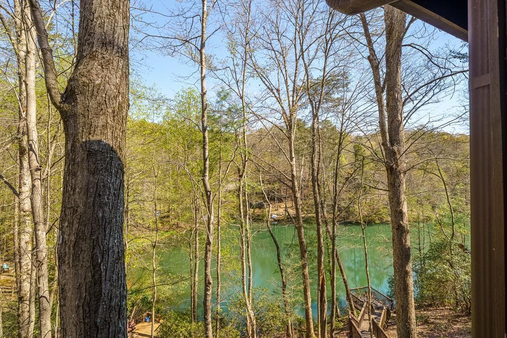 942 Granny Branch Drive, Cherry Log GA 30522 - Photo