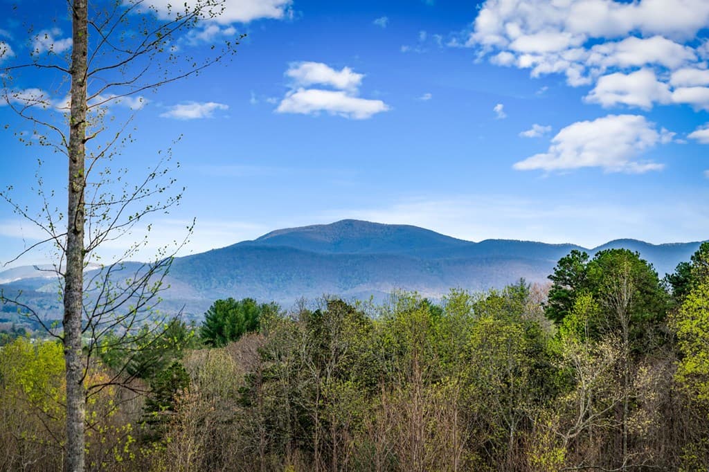 79 Winding Ridge, Blairsville GA 30512 - Photo