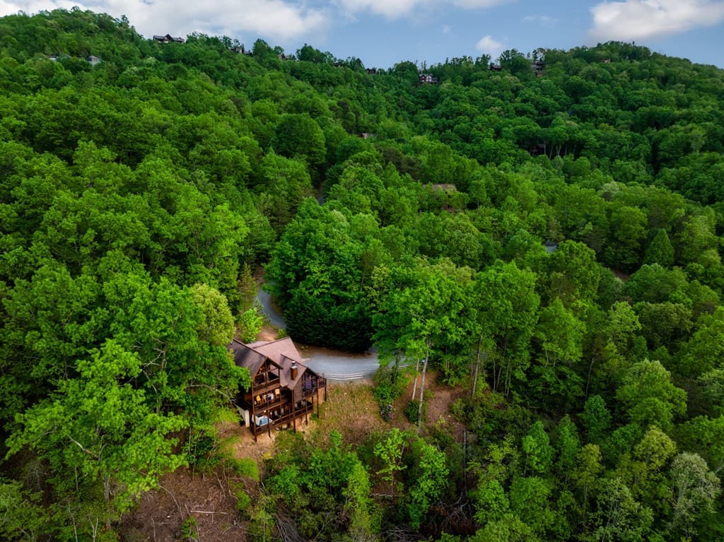 273 Deer Crest Heights, Blue Ridge GA 30513 - Photo