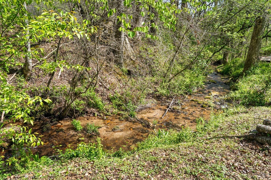 496 Jackie Cove Road, Hayesville NC 28904 - Photo