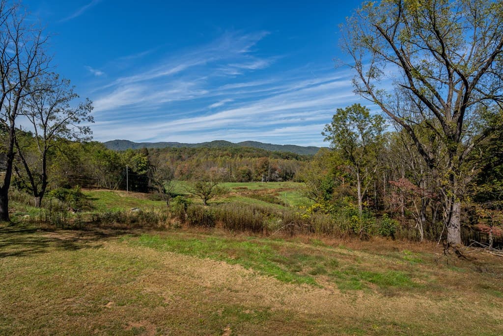7590-AB Mobile Road, Blue Ridge GA 30513 - Photo