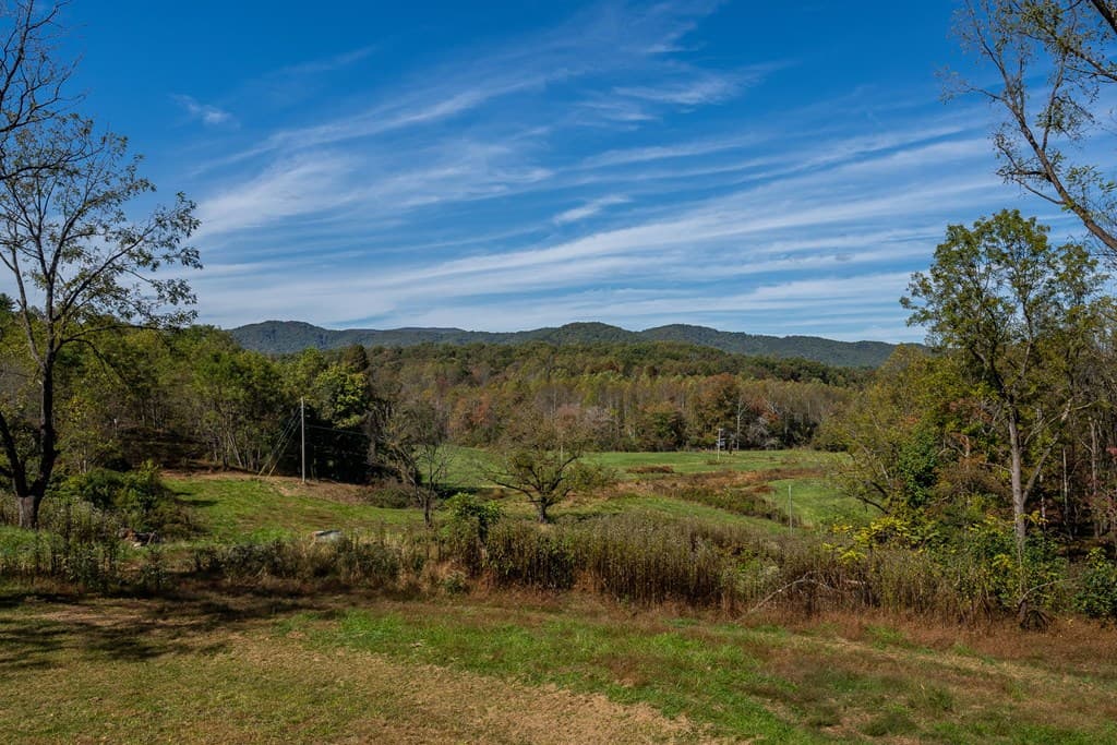 7590-AB Mobile Road, Blue Ridge GA 30513 - Photo