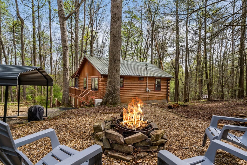 159 Pack Creek Road, Blue Ridge GA 30513 - Photo
