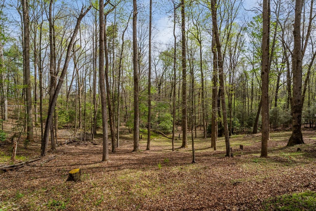 159 Pack Creek Road, Blue Ridge GA 30513 - Photo
