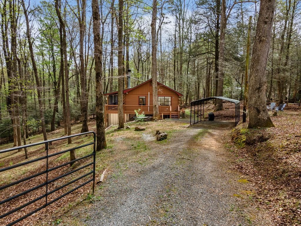 159 Pack Creek Road, Blue Ridge GA 30513 - Primary photo