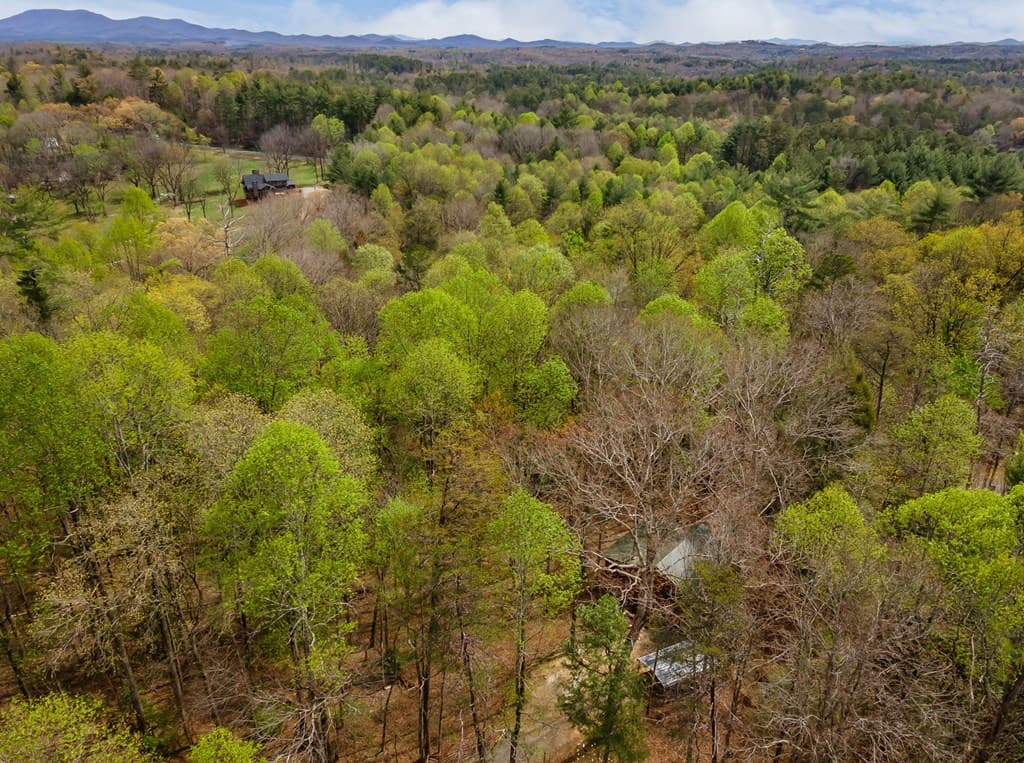 159 Pack Creek Road, Blue Ridge GA 30513 - Photo