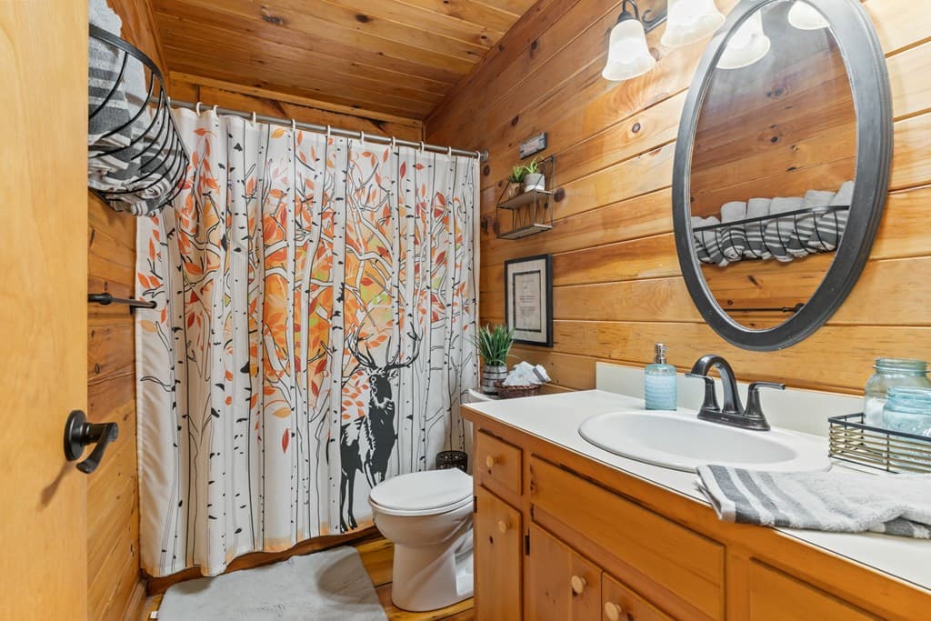 159 Pack Creek Road, Blue Ridge GA 30513 - Photo
