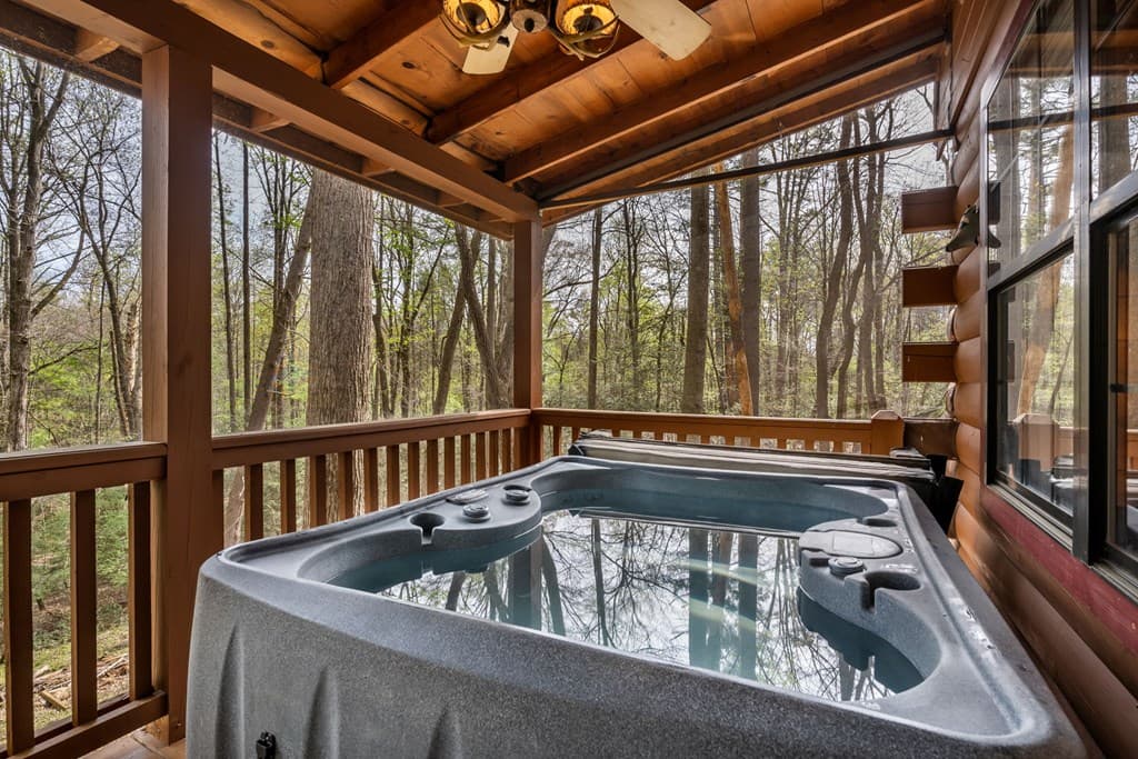 159 Pack Creek Road, Blue Ridge GA 30513 - Photo