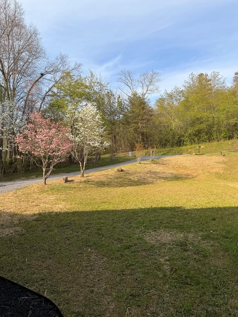 4333 Ada Street, Blue Ridge GA 30513 - Photo