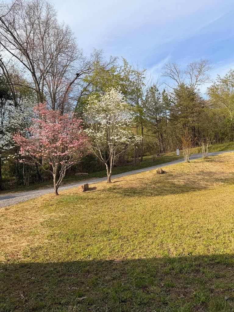 4333 Ada Street, Blue Ridge GA 30513 - Photo
