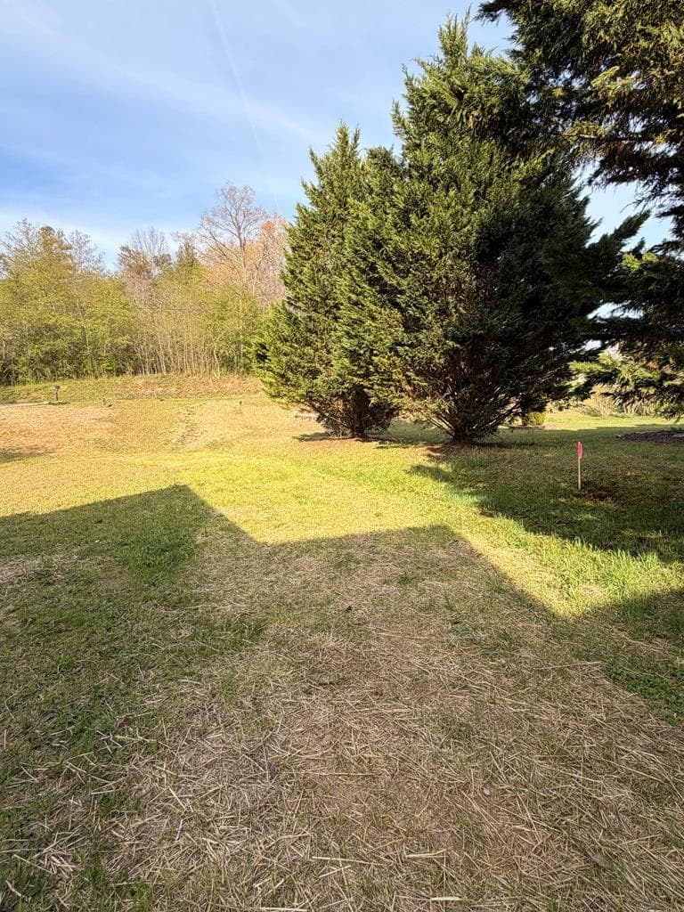 4333 Ada Street, Blue Ridge GA 30513 - Photo
