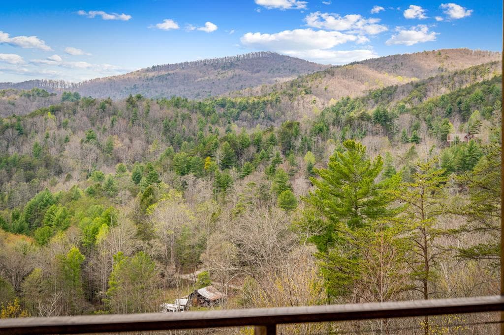 125 Stanley Creek Overlook, Cherry Log GA 30522 - Photo
