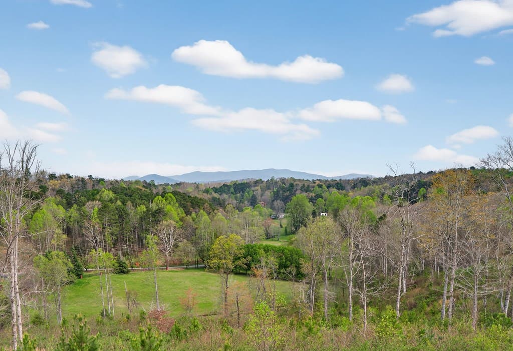 251 Mystic Drive, Ellijay GA 30540 - Photo