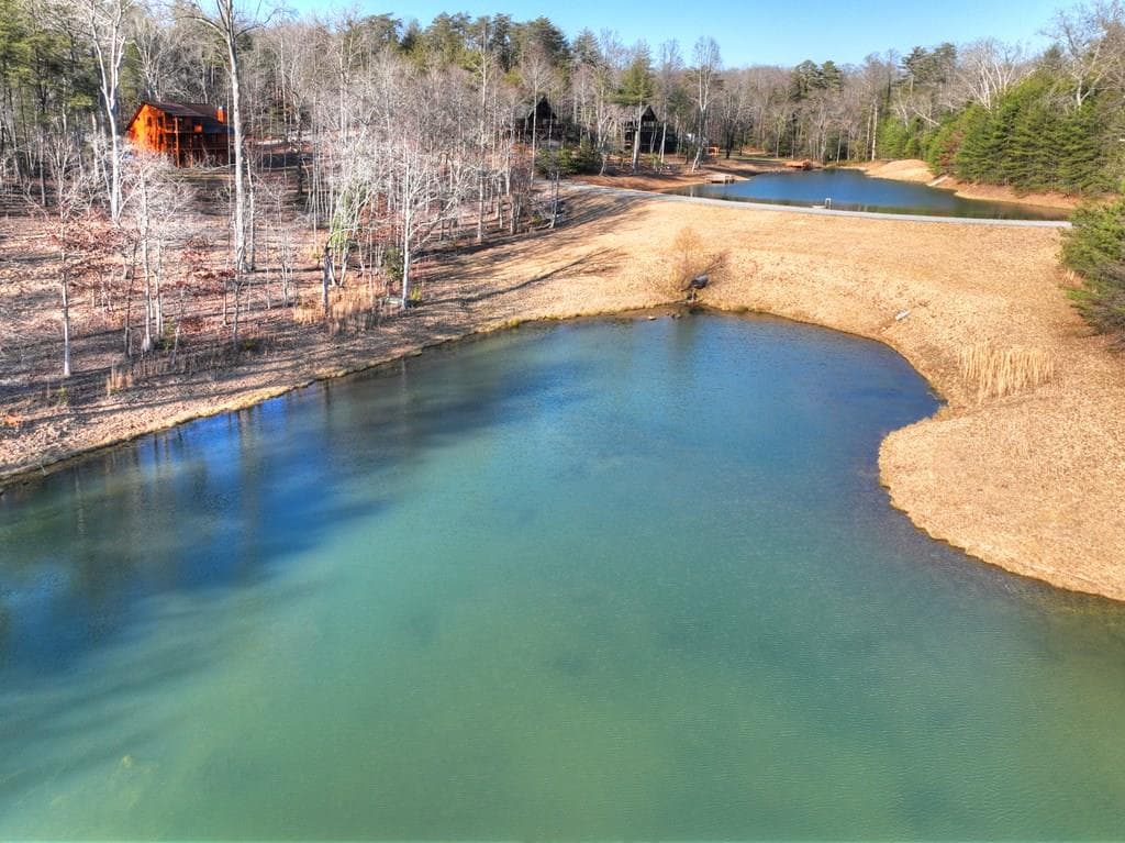 17 Dial Mountain Drive, Blue Ridge GA 30513 - Primary photo