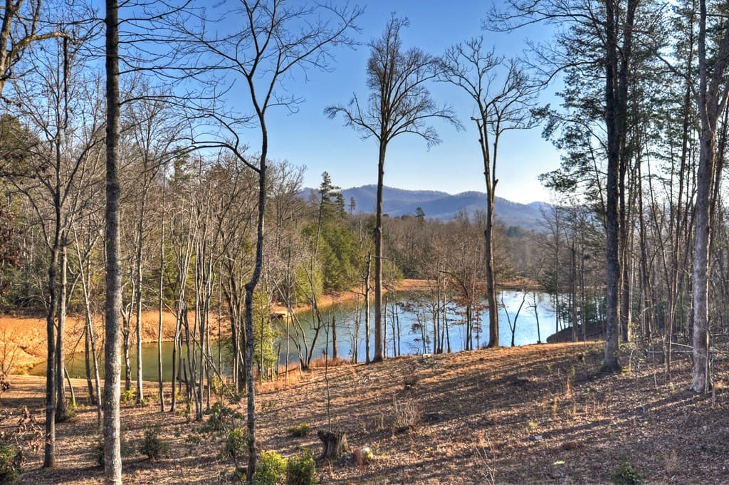 17 Dial Mountain Drive, Blue Ridge GA 30513 - Photo