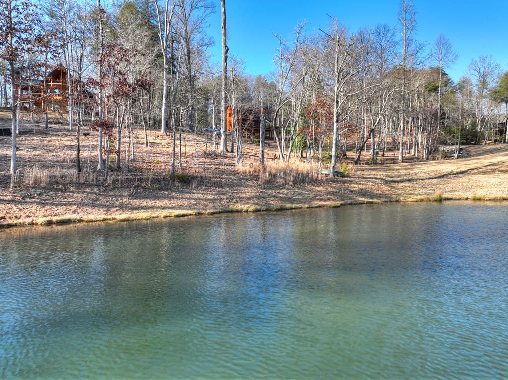 17 Dial Mountain Drive, Blue Ridge GA 30513 - Photo